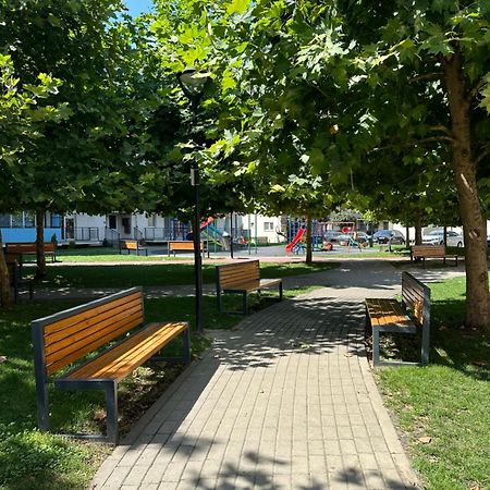 Junior Residence Studio Клуж-Напока Екстериор снимка