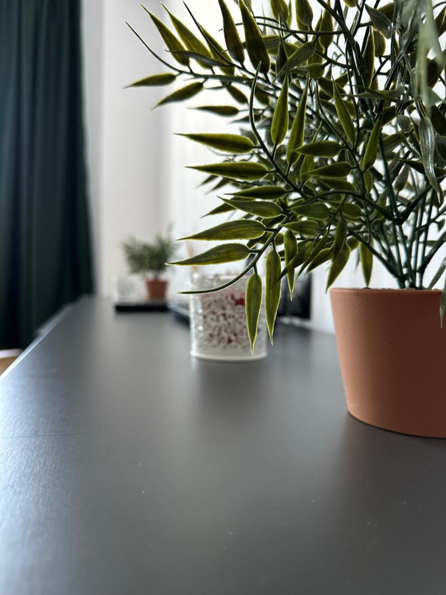 Junior Residence Studio Клуж-Напока Екстериор снимка